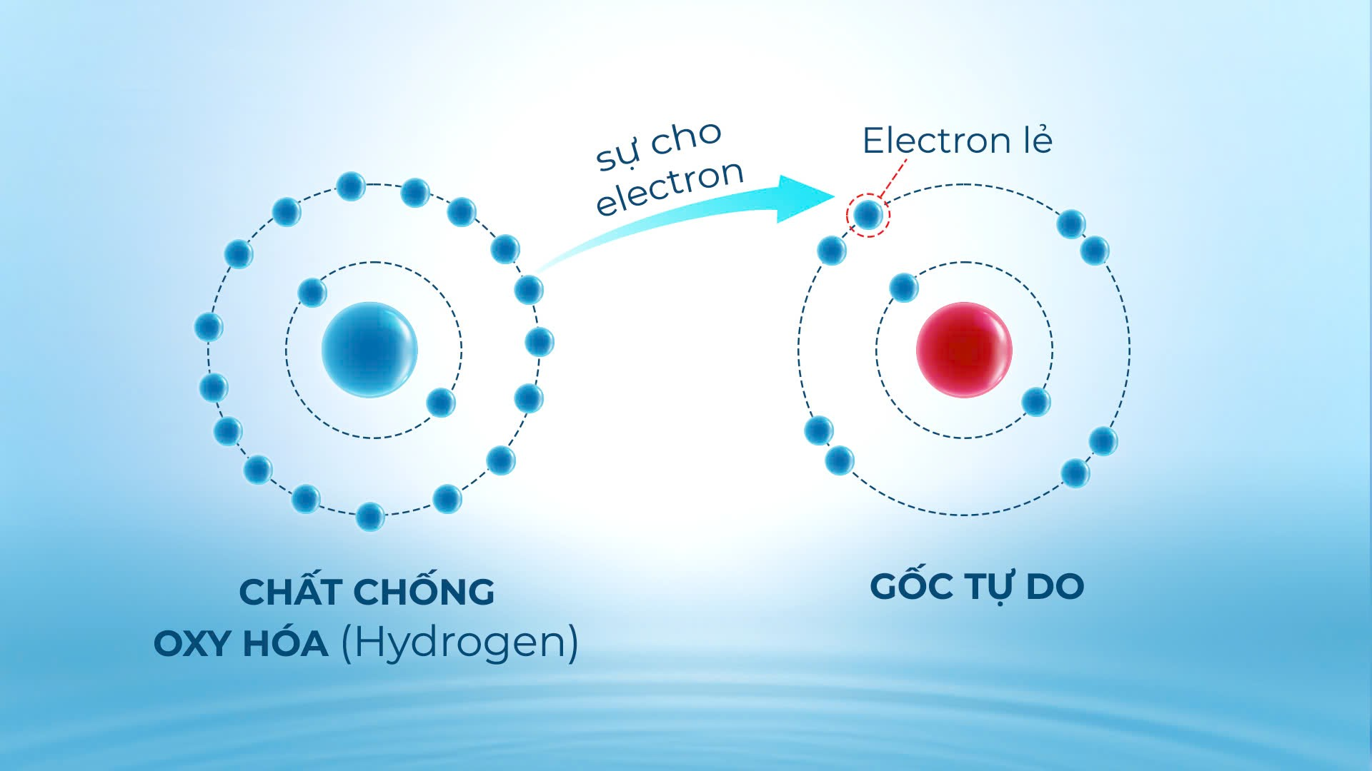 Nước ion kiềm hỗ trợ chống lại các gốc tự do nhờ chỉ số chống oxy hóa